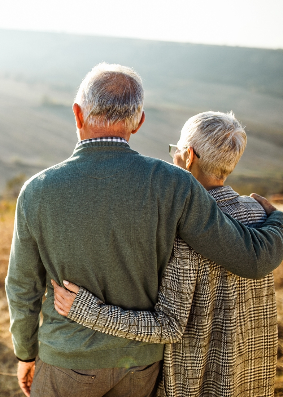 Rear view of embraced senior couple looking at their family in nature